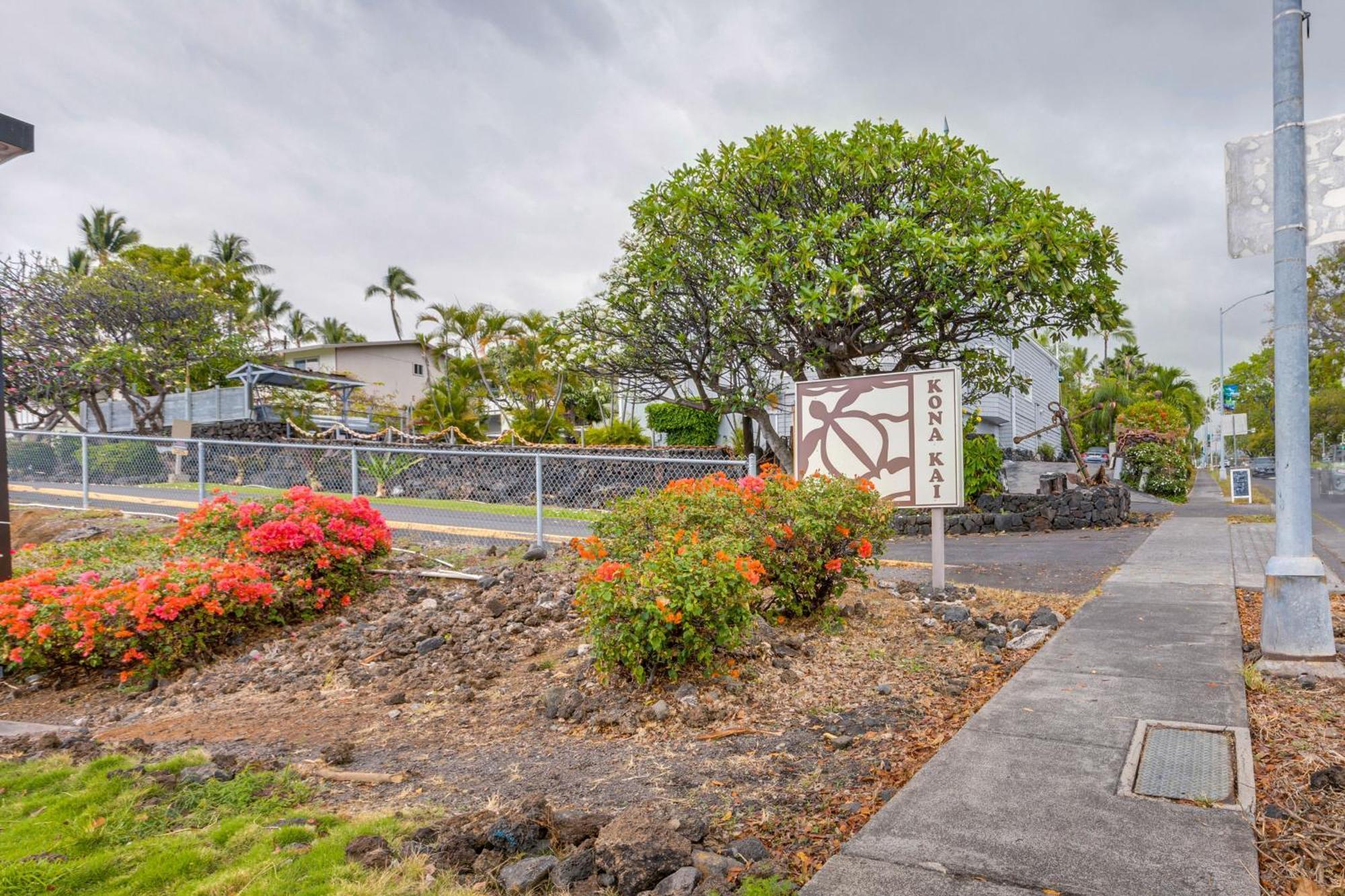 Kona Kai Haven With Pool Access, Walk To Beach! Kailua-Kona Esterno foto